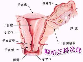 不同类型的阴道炎症状表现有哪些区别